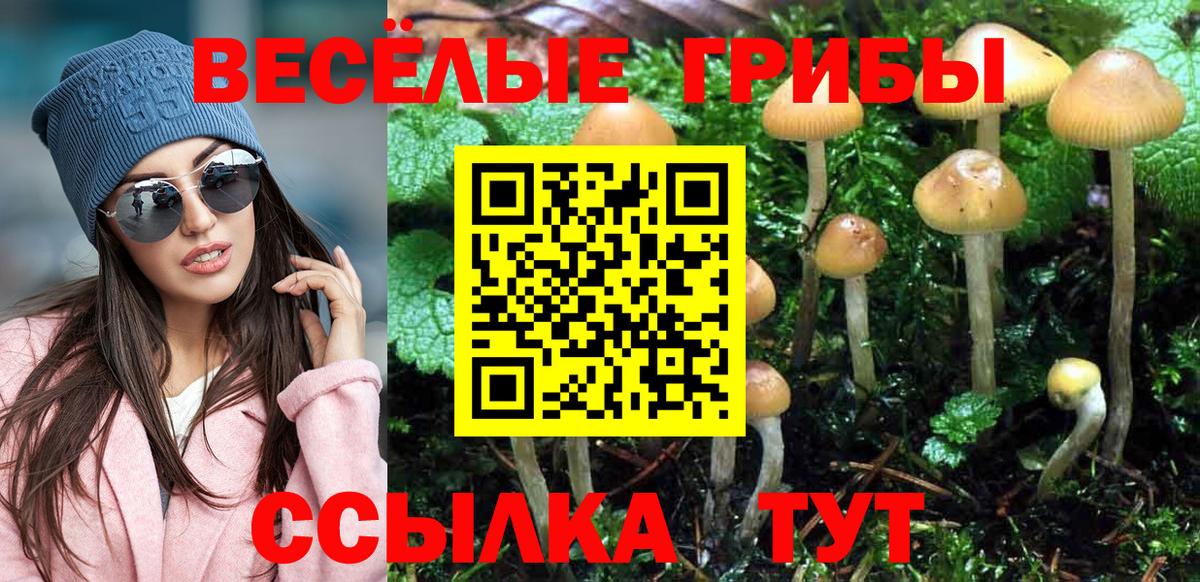 Галлюциногенные грибы Magic Shrooms  Вход с VPN  Аксай  Псилоцибиновые грибы ЛСД 